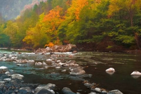 Jiu Gorge National Park entrance tickets