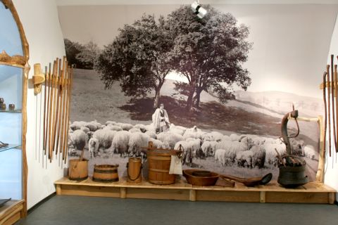 Etnographic Museum of Transylvania